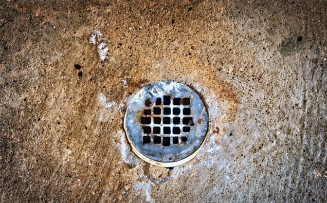 https://blockeddrainskinross.com.au/uploads/2025/07/blocked-shower-drains-20432.jpg
