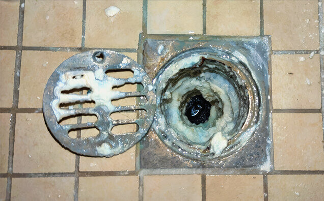 https://blockeddrainskinross.com.au/uploads/2025/07/blocked-shower-drains-33151.jpg