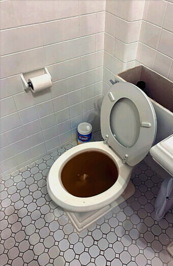 https://blockeddrainskinross.com.au/uploads/2025/07/blocked-toilet-99184.jpg